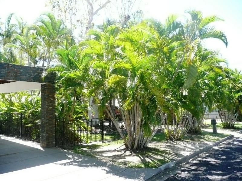 47 Jamieson Street, Trinity Beach QLD 4879