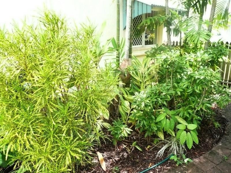 3/528 Varley Street, Yorkeys Knob QLD 4878