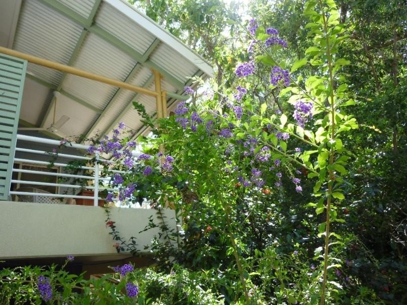 Trinity Beach QLD 4879