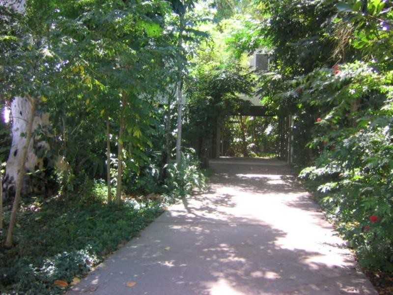 54 Jamieson Street, Trinity Beach QLD 4879