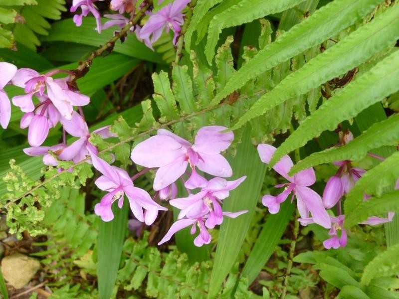 Trinity Beach QLD 4879