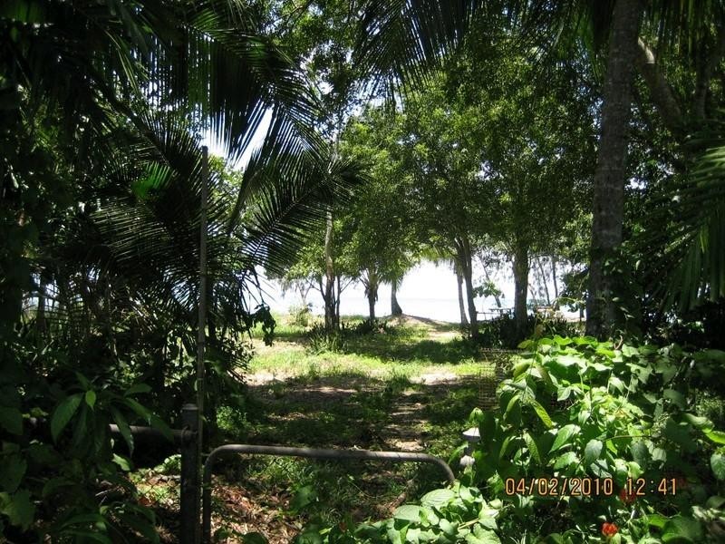 26 Poinsettia Street, Holloways Beach QLD 4878