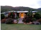 Palm Cove QLD 4879