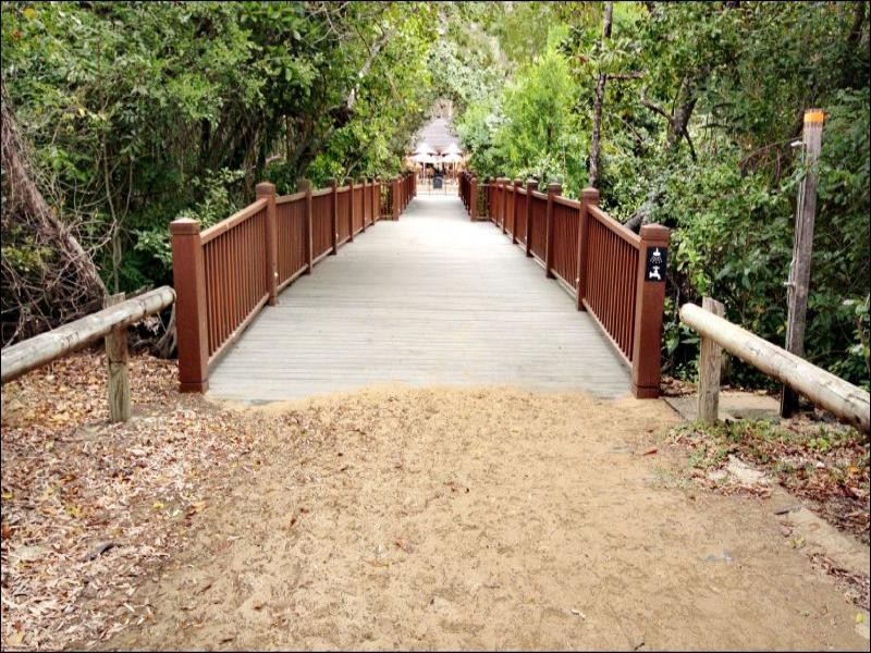 Palm Cove QLD 4879