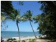 Palm Cove QLD 4879