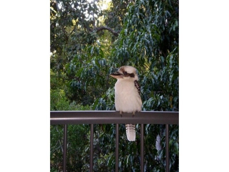 Kewarra Beach QLD 4879