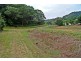 Redlynch QLD 4870
