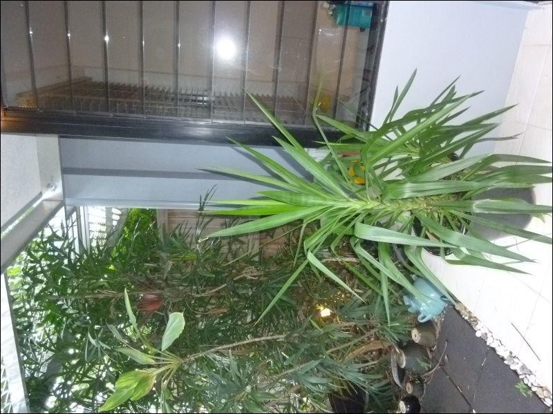 Trinity Beach QLD 4879