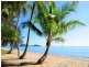 Palm Cove QLD 4879