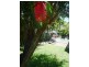Kewarra Beach QLD 4879