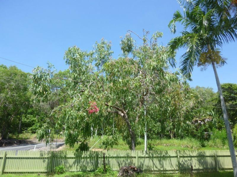 Trinity Beach QLD 4879