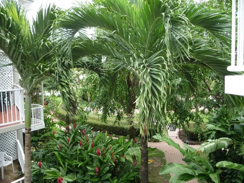 Holloways Beach QLD 4878