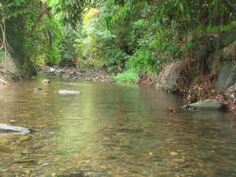 Clifton Beach QLD 4879