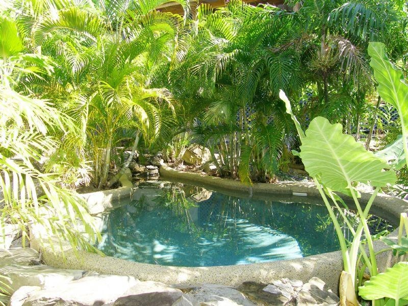 Palm Cove QLD 4879