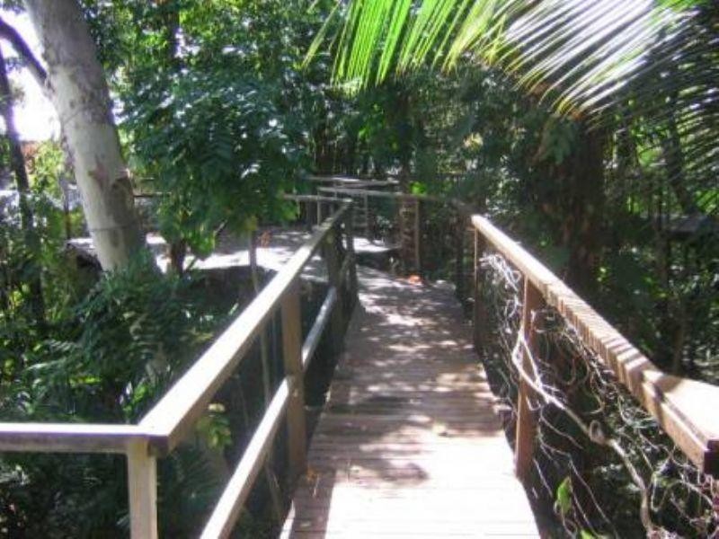 54 Jamieson Street, Trinity Beach QLD 4879