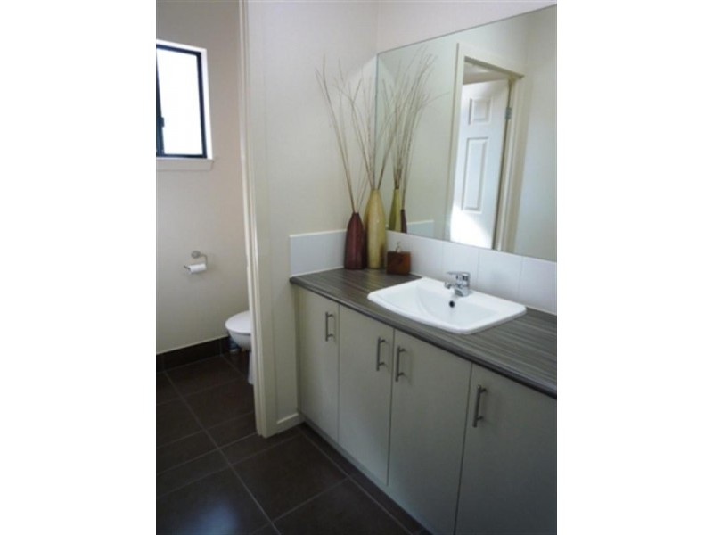 25 Palmetto Street, Palm Cove QLD 4879