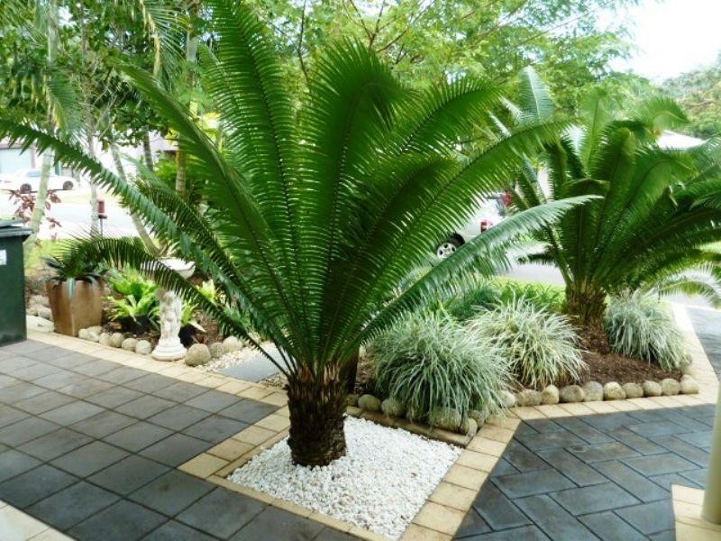 17 Dan Jones Drive, Bentley Park QLD 4869