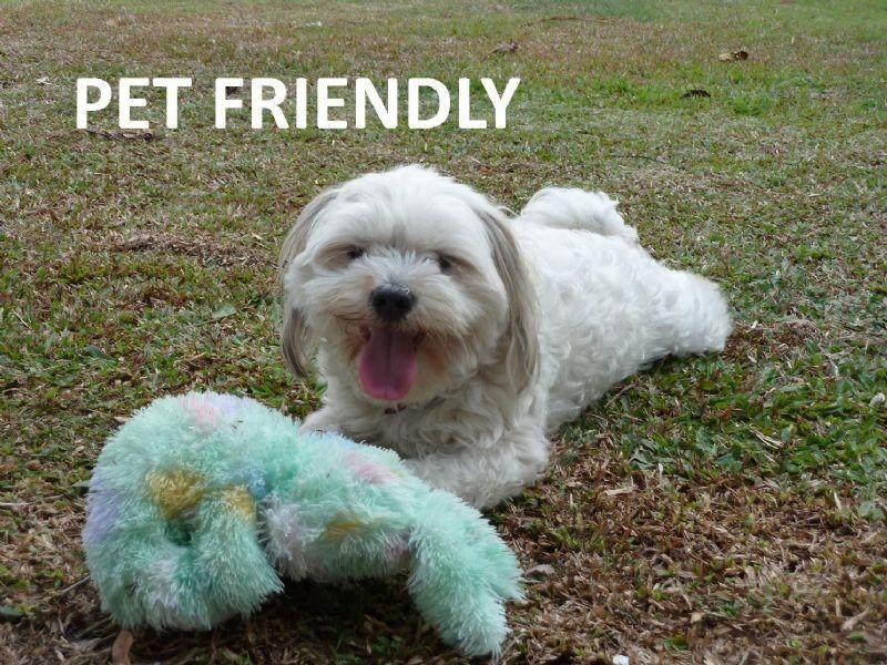 7 Whelk Close, Trinity Beach QLD 4879