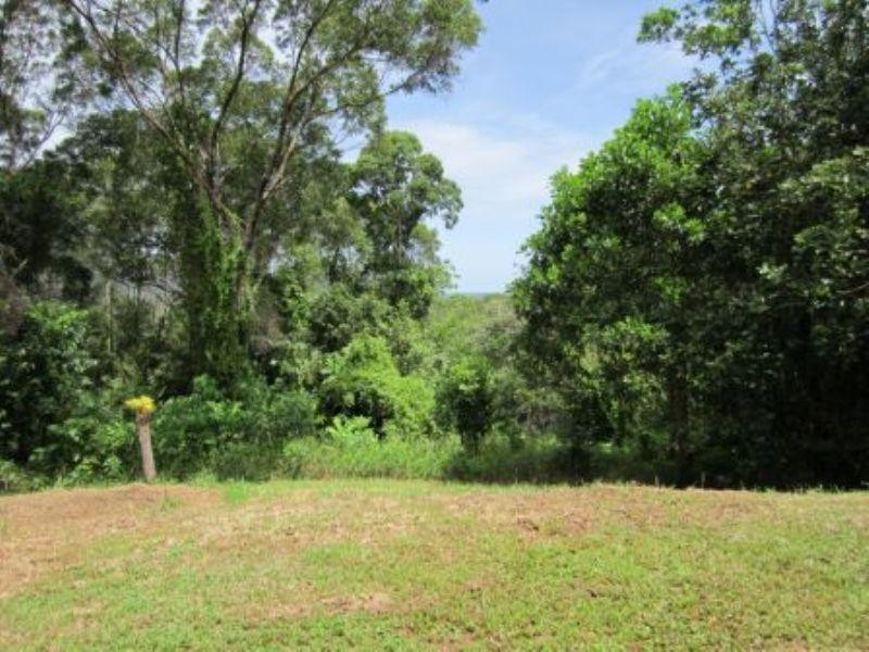 39 Ronald Road, Forest Creek QLD 4873