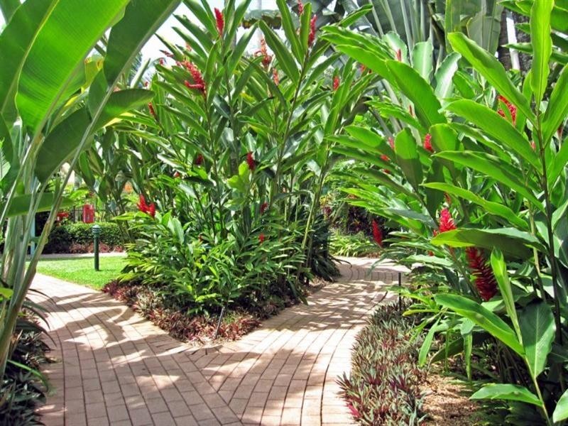 Holloways Beach QLD 4878