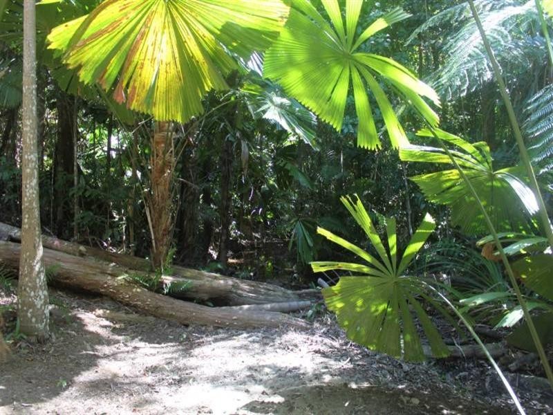 21 Salamone Drive, Kuranda QLD 4881