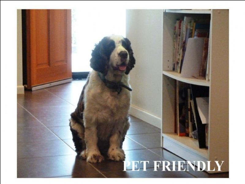 21 Vetiver Street, Trinity Park QLD 4879