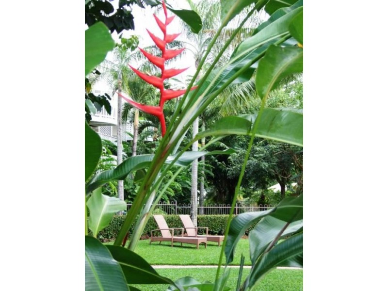 Holloways Beach QLD 4878