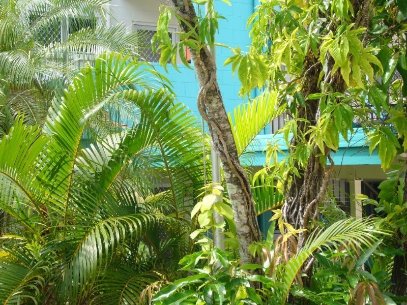 Trinity Beach QLD 4879