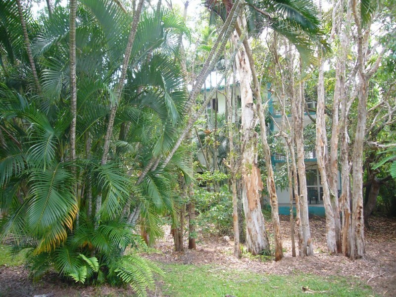 Trinity Beach QLD 4879