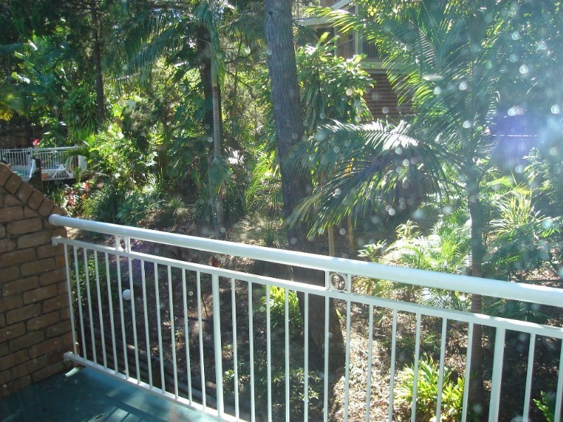 1 Bottlebrush Avenue, Noosa Heads QLD 4567