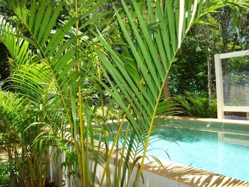 208 Edwards Street, Sunshine Beach QLD 4567