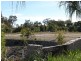 194 Balgownie Drive, Peregian Springs QLD 4573