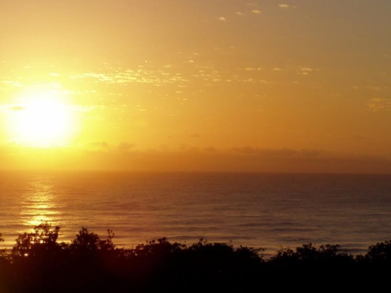 194 Balgownie Drive, Peregian Springs QLD 4573