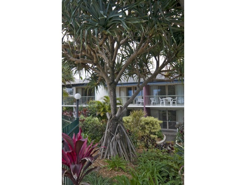 20/75 David Low Way, Sunrise Beach QLD 4567