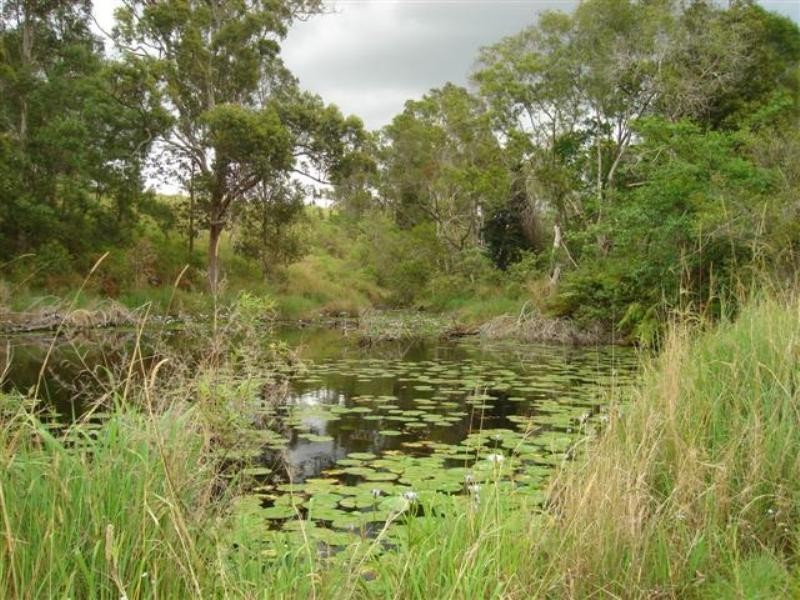 45 Cherry Lane, Belli Park QLD 4562