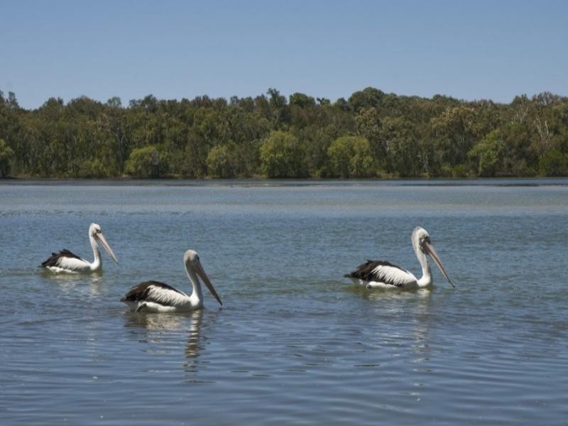 65 Lake Weyba Drive, Noosaville QLD 4566