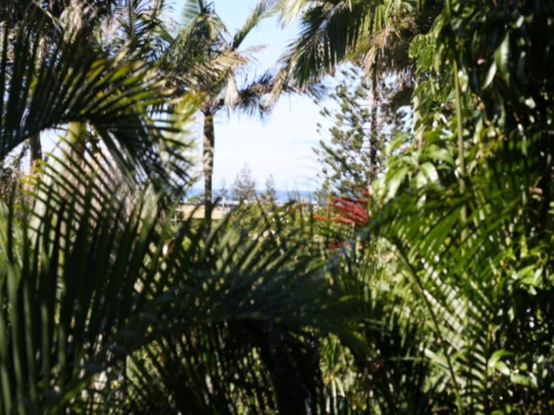 5 Cormorant Crescent, Peregian Beach QLD 4573