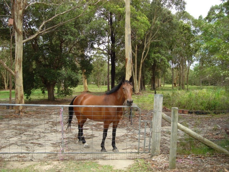 Tewantin QLD 4565