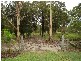 Tewantin QLD 4565