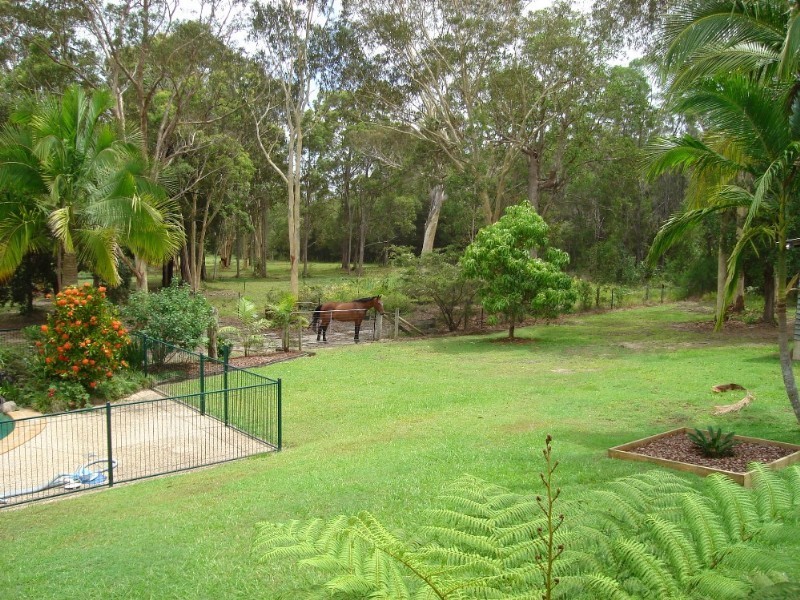 Tewantin QLD 4565