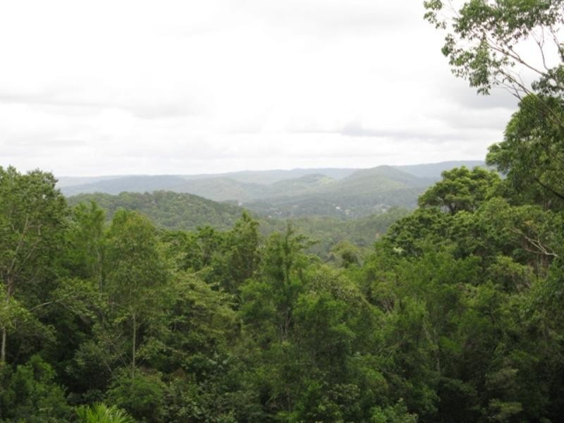 20 Lilly Pilly Rise, Eumundi QLD 4562