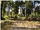 Cooroibah QLD 4565