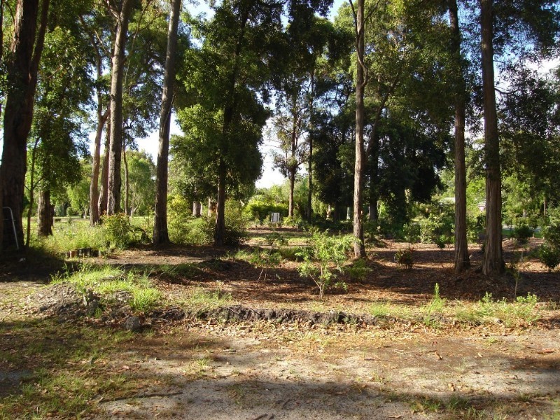 Cooroibah QLD 4565