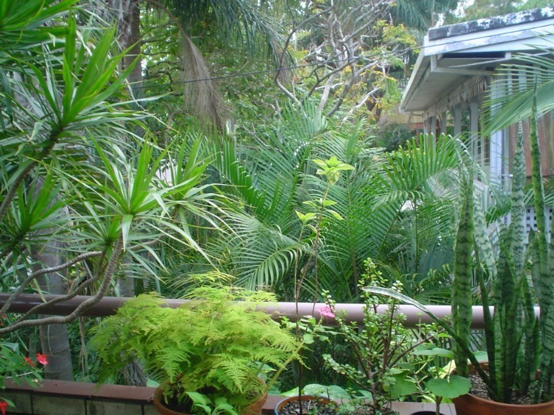 Noosa Heads QLD 4567