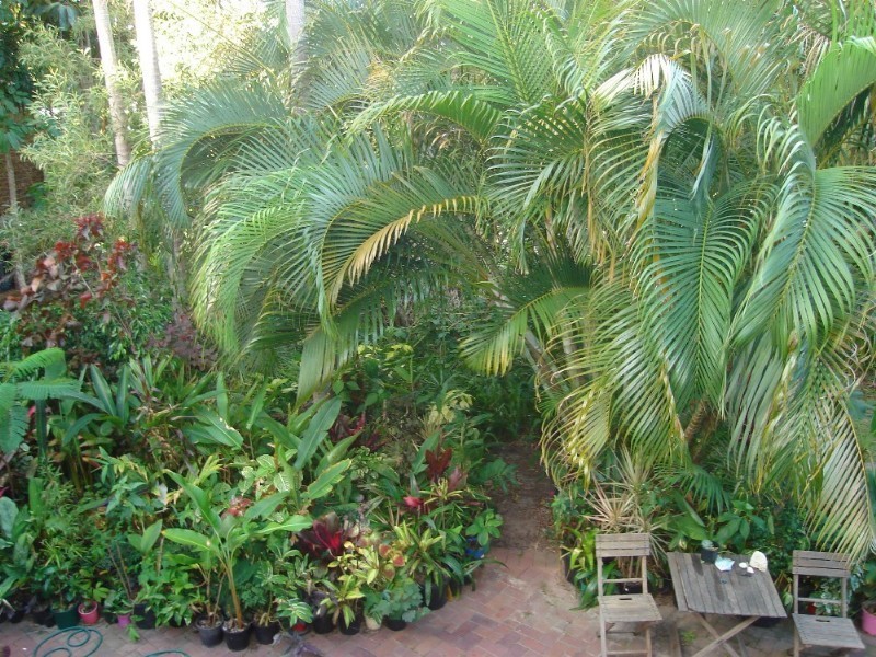 Sunshine Beach QLD 4567