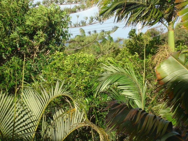 Sunshine Beach QLD 4567