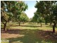 Wamuran QLD 4512