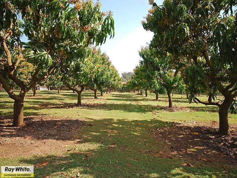 Wamuran QLD 4512