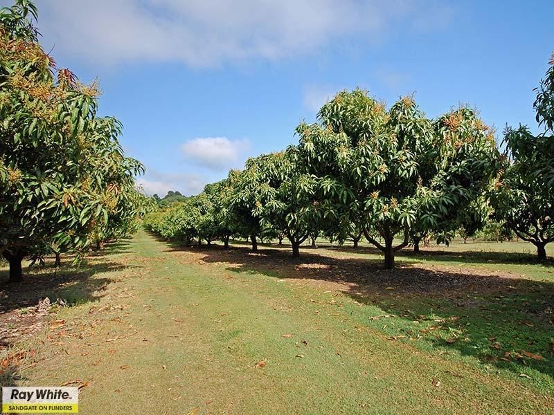 Wamuran QLD 4512