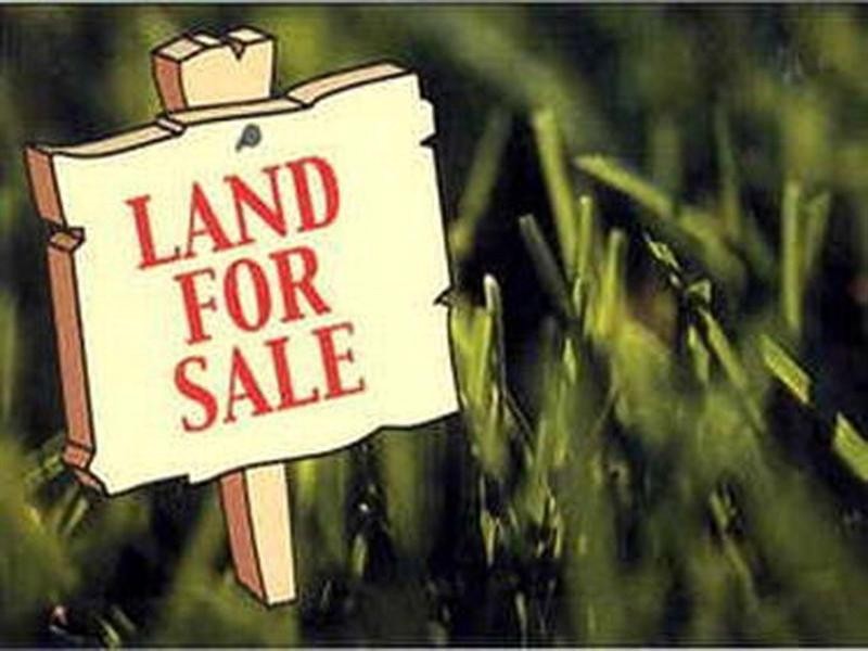 54 Lower Brighton Terrace, Sandgate QLD 4017